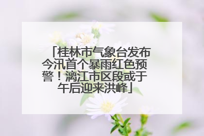 桂林市气象台发布今汛首个暴雨红色预警！漓江市区段或于午后迎来洪峰
