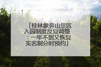 桂林象鼻山景区入园制度反复调整：一年不到又恢复实名制分时预约