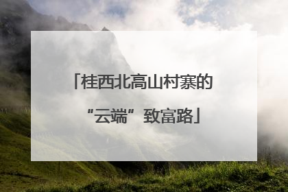 桂西北高山村寨的“云端”致富路