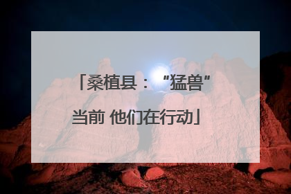 桑植县：“猛兽”当前 他们在行动