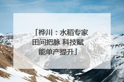 桦川：水稻专家田间把脉 科技赋能单产提升