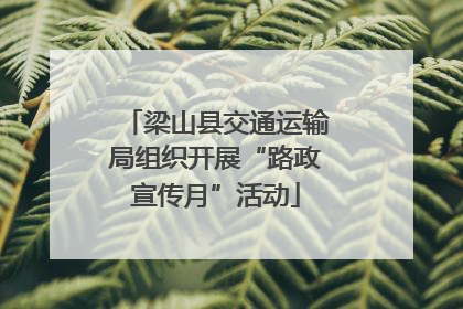 梁山县交通运输局组织开展“路政宣传月”活动