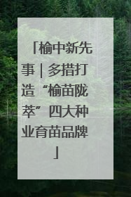 榆中新先事｜多措打造“榆苗陇萃”四大种业育苗品牌
