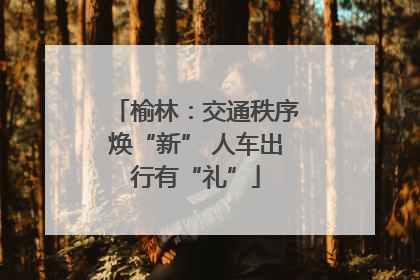 榆林：交通秩序焕“新” 人车出行有“礼”