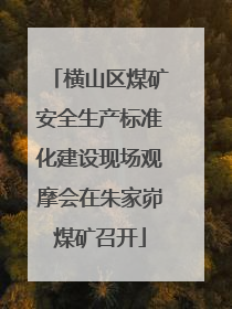 横山区煤矿安全生产标准化建设现场观摩会在朱家峁煤矿召开