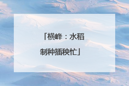 横峰：水稻制种插秧忙