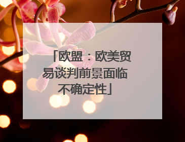欧盟：欧美贸易谈判前景面临不确定性