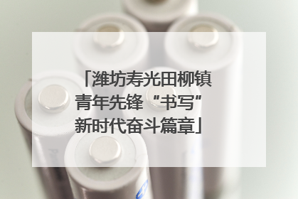 潍坊寿光田柳镇青年先锋“书写”新时代奋斗篇章