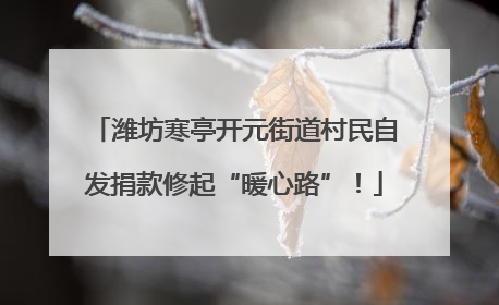 潍坊寒亭开元街道村民自发捐款修起“暖心路”！