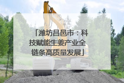潍坊昌邑市：科技赋能生姜产业全链条高质量发展