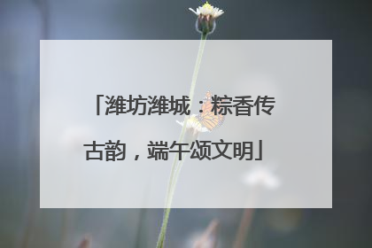潍坊潍城：粽香传古韵，端午颂文明
