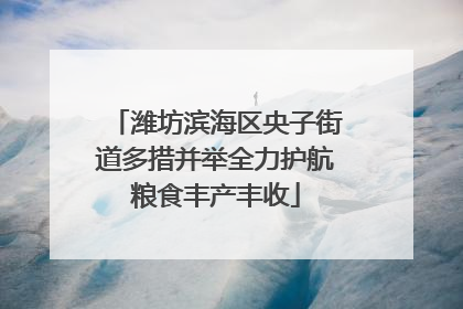 潍坊滨海区央子街道多措并举全力护航粮食丰产丰收