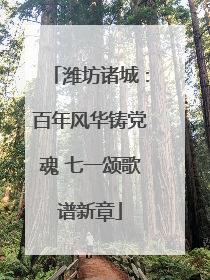 潍坊诸城：百年风华铸党魂 七一颂歌谱新章