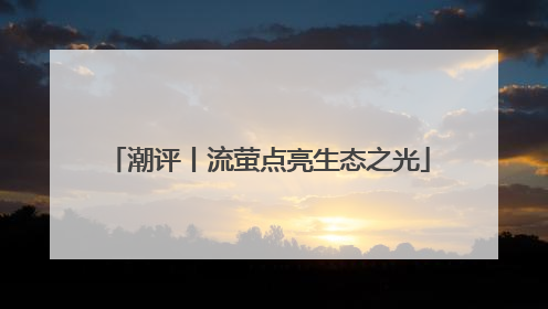潮评丨流萤点亮生态之光