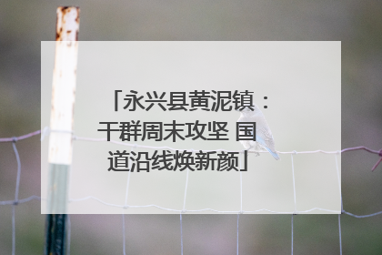 永兴县黄泥镇：干群周末攻坚 国道沿线焕新颜