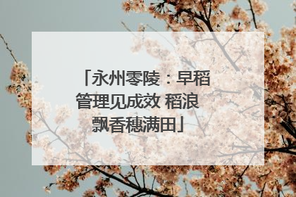 永州零陵：早稻管理见成效 稻浪飘香穗满田