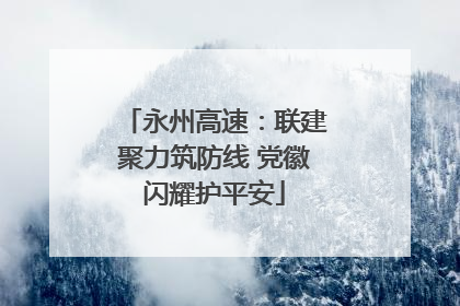 永州高速：联建聚力筑防线 党徽闪耀护平安