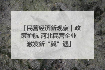 民营经济新观察｜政策护航 河北民营企业激发新“冀”遇