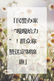 民警办案“嘎嘎给力”！群众称赞送定制锦旗