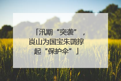 汛期“突袭”，崀山为国宝朱鹮撑起“保护伞”