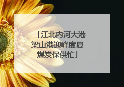 江北内河大港梁山港迎峰度夏煤炭保供忙