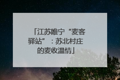 江苏睢宁“麦客驿站”：苏北村庄的麦收温情