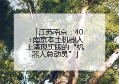 江苏南京：40+南京本土机器人上演现实版的“机器人总动员”