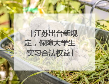 江苏出台新规定，保障大学生实习合法权益