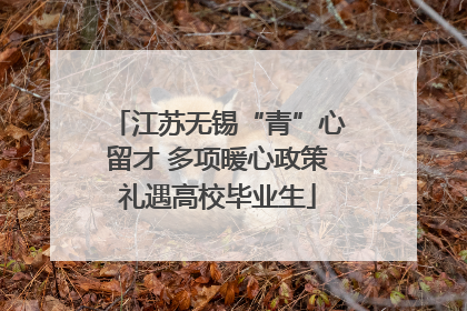 江苏无锡“青”心留才 多项暖心政策礼遇高校毕业生