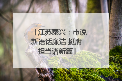 江苏泰兴：市说新语话廉洁 挺膺担当谱新篇