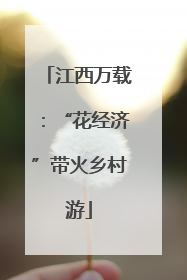 江西万载：“花经济”带火乡村游