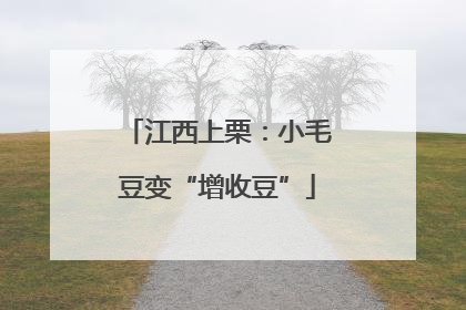 江西上栗：小毛豆变“增收豆”
