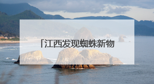 江西发现蜘蛛新物种 为研究呵叻蛛属适应区域提供依据