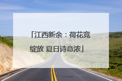 江西新余：荷花竞绽放 夏日诗意浓