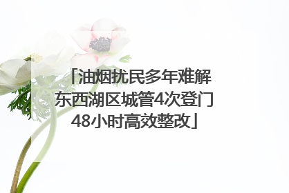 油烟扰民多年难解 东西湖区城管4次登门48小时高效整改