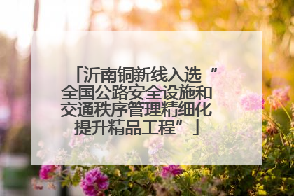 沂南铜新线入选“全国公路安全设施和交通秩序管理精细化提升精品工程”