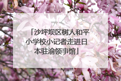 沙坪坝区树人和平小学校小记者走进日本驻渝领事馆