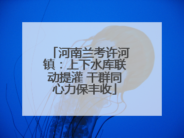 河南兰考许河镇：上下水库联动提灌 干群同心力保丰收