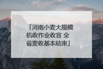 河南小麦大规模机收作业收官 全省麦收基本结束