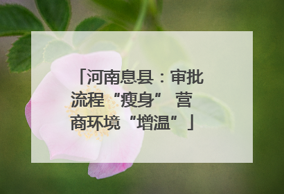 河南息县：审批流程“瘦身” 营商环境“增温”