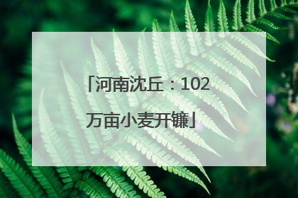 河南沈丘：102 万亩小麦开镰
