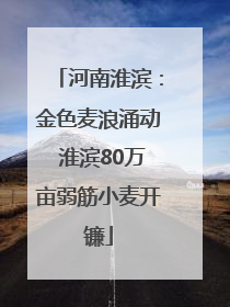 河南淮滨：金色麦浪涌动 淮滨80万亩弱筋小麦开镰