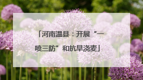 河南温县：开展“一喷三防”和抗旱浇麦