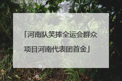 河南队笑捧全运会群众项目河南代表团首金