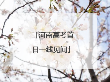 河南高考首日一线见闻
