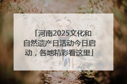 河南2025文化和自然遗产日活动今日启动，各地精彩看这里