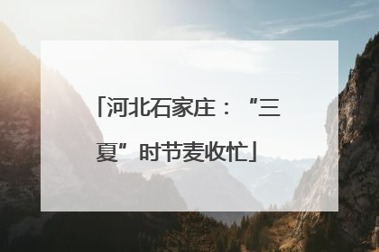 河北石家庄：“三夏”时节麦收忙