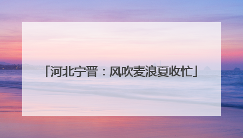 河北宁晋：风吹麦浪夏收忙
