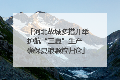 河北故城多措并举护航“三夏”生产 确保夏粮颗粒归仓