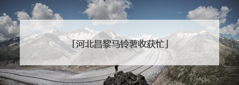 河北昌黎马铃薯收获忙